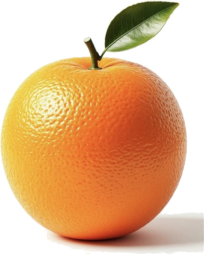 Naranja fresca recién recogida